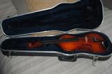 Violin and case.