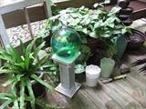 Gazing ball, plants