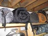 Sleeping bags, hard shell cases, arrow cases