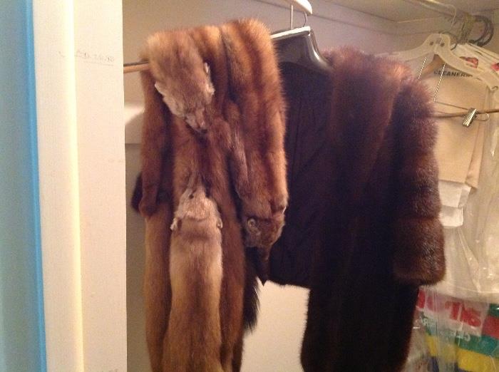 nice furs