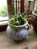 ESTATESNY: FANTASTIC ESTATE SALE, HAMPTONS, NY