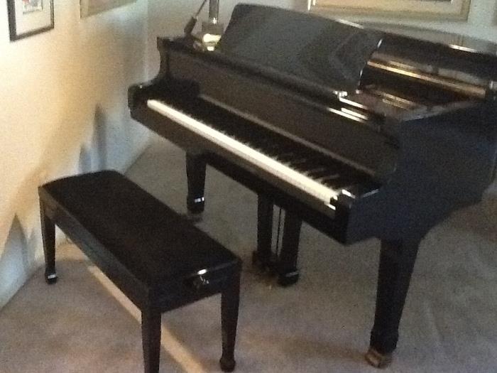 Petrof Baby Grand Piano - Excellent Condition - Black Lacquer -  maintained well - tuned .  Also has a built in dehumidifier