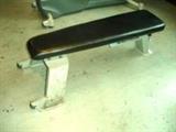 Nautilus Flat Workout Bench