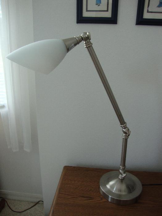 SS adjustable lamp