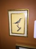 FLORENTINE BIRD PRINT
