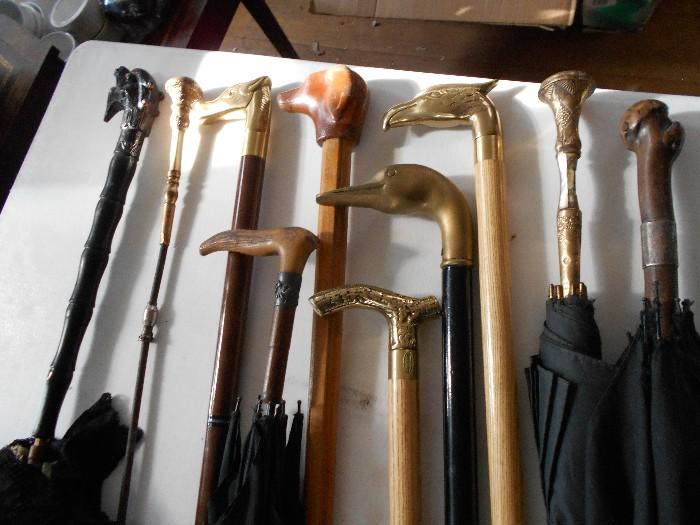 great collection of antique canes, walking sticks and umbrellas
