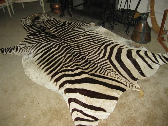 rare zebra rug.