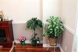 Silk plants