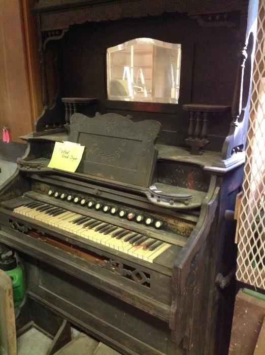 Antique Reed organ