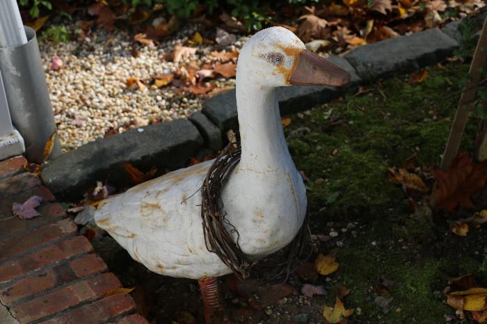 Heavy metal duck outdoors/indoor