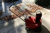 Small Gas Snow blower