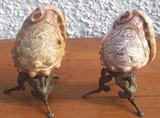 Cameo Carved Shells