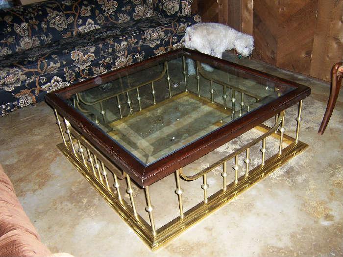 Brass and Glass coffee table -- dog NFS