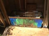 Lg fish tank with many extras