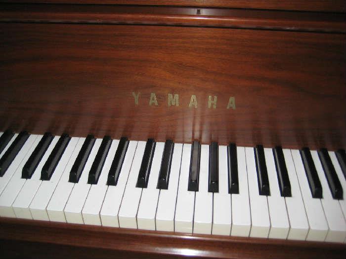 Yamaha Grand Piano G2 Circa 1969  Great Condition