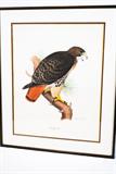 Red Tailed Hawk
Signed: Richard Parks
Sale $175