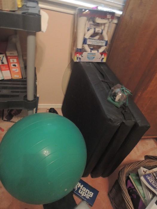 Exercise room: mat, yoga mat, exercise ball, wii, wii fit, wii exercise systems & accessories