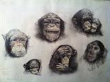Monkey family, artist S. Murr