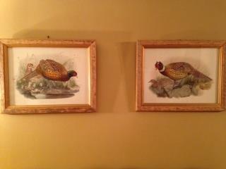 Pair framed pheasant prints