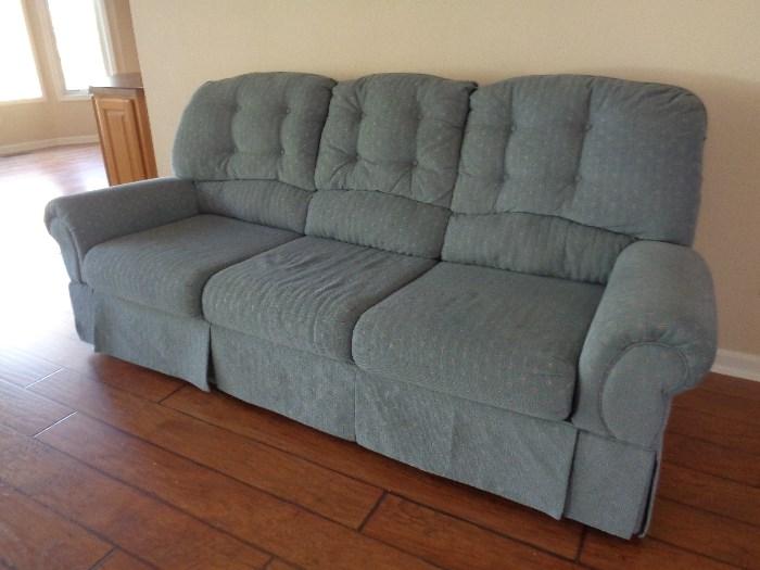 the inevitable sleeper sofa, I should invest in their company