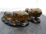 tiger eye carved lion
