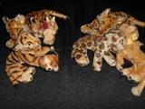 Great Room-"Smalls Area:"  Several vintage small STEIFF stuffed animals (left) and CHARACTER stuffed animals.