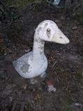 Concrete Goose
