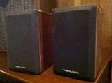 Vintage Realistic Speakers