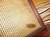 Vintage Allied Speakers(2)