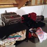 Large and small Suitcases