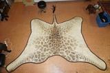 Lot 146  -  Large Giraffe Hide Carpet Wall Hanger.  Lined.  Clearfield Taxidermy Label.-- Dimensions:  H: 122 inches: W: 140 inches --- 