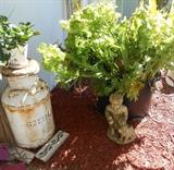 Plants and Outdoor Décor available 