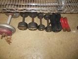 weights