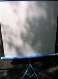 Da-Lite Silver Flyer projection screen
