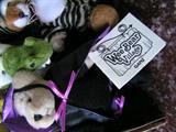 Wee Bear Village by Ganz, quantity of 9 pieces. Esmeralda, Baldwin, Dundee Alligator, Woody Beever, Saber, Lil Blossom, Mr. Bones, and Punkinhead.