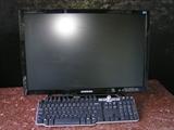 Samsung 245 BW Sync Master and Dell keyboard