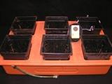Hydrofarm with pump, pots and lava stones