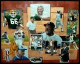 Collectible Wisconsin sports collage. Framed
