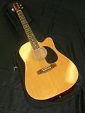 Pignose Acoustic Guitar