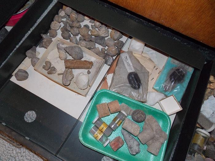 Rock and Mineral Collection