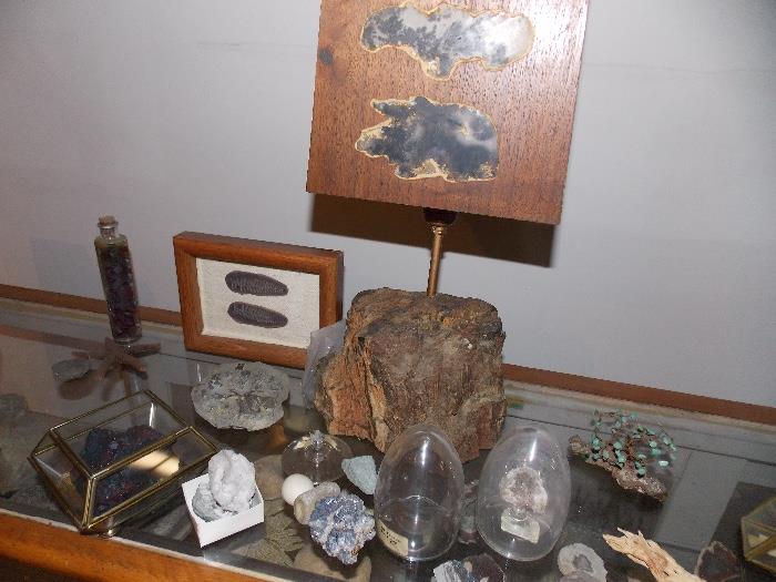 Rock and Mineral Collection