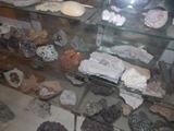 Rock and Mineral Collection