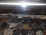 Rock and Mineral Collection
