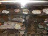Rock and Mineral Collection