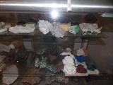 Rock and Mineral Collection