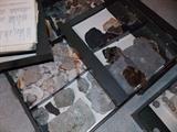 Rock and Mineral Collection