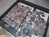 Rock and Mineral Collection