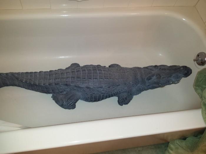 Awesome Alligator- 5ft 