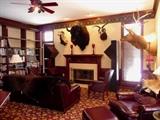 LIBRARY W/ TAXIDERMY HEAD MOUNTS. XL BISON HEAD MOUNT & FULL HIDE