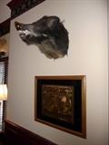 WILD BOAR HEAD MOUNT ABOVE FRAMED ANTIQUE-STYLE GOLD MAP